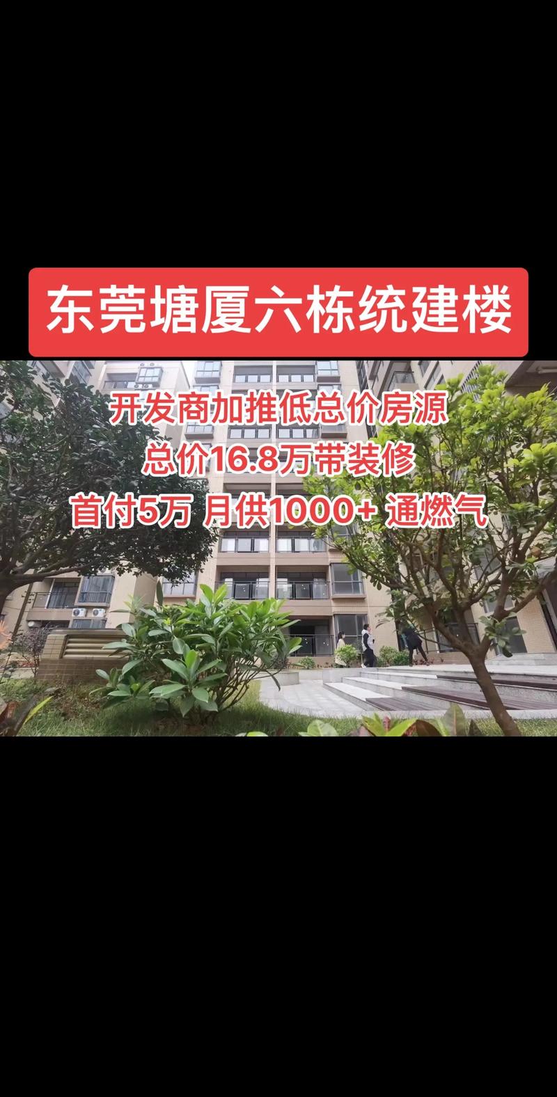 塘夏房价