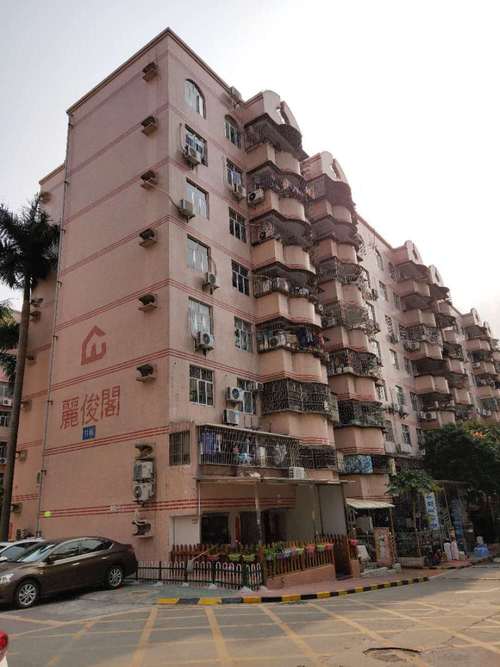 丽湖花园小学