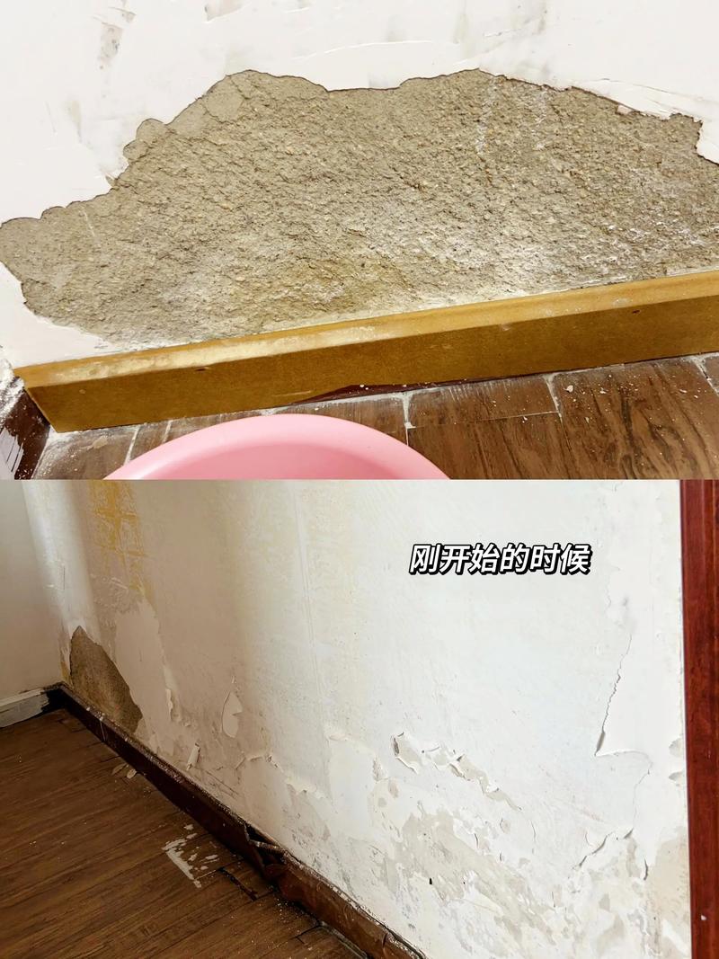 合肥租房发霉怎么处理