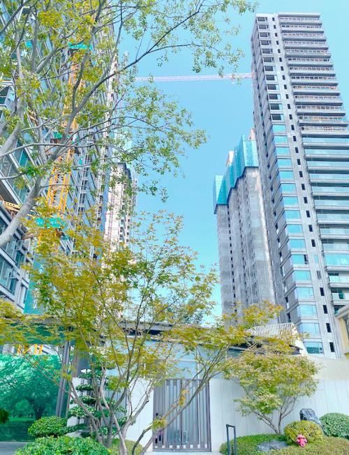 长沙梅溪湖新楼盘