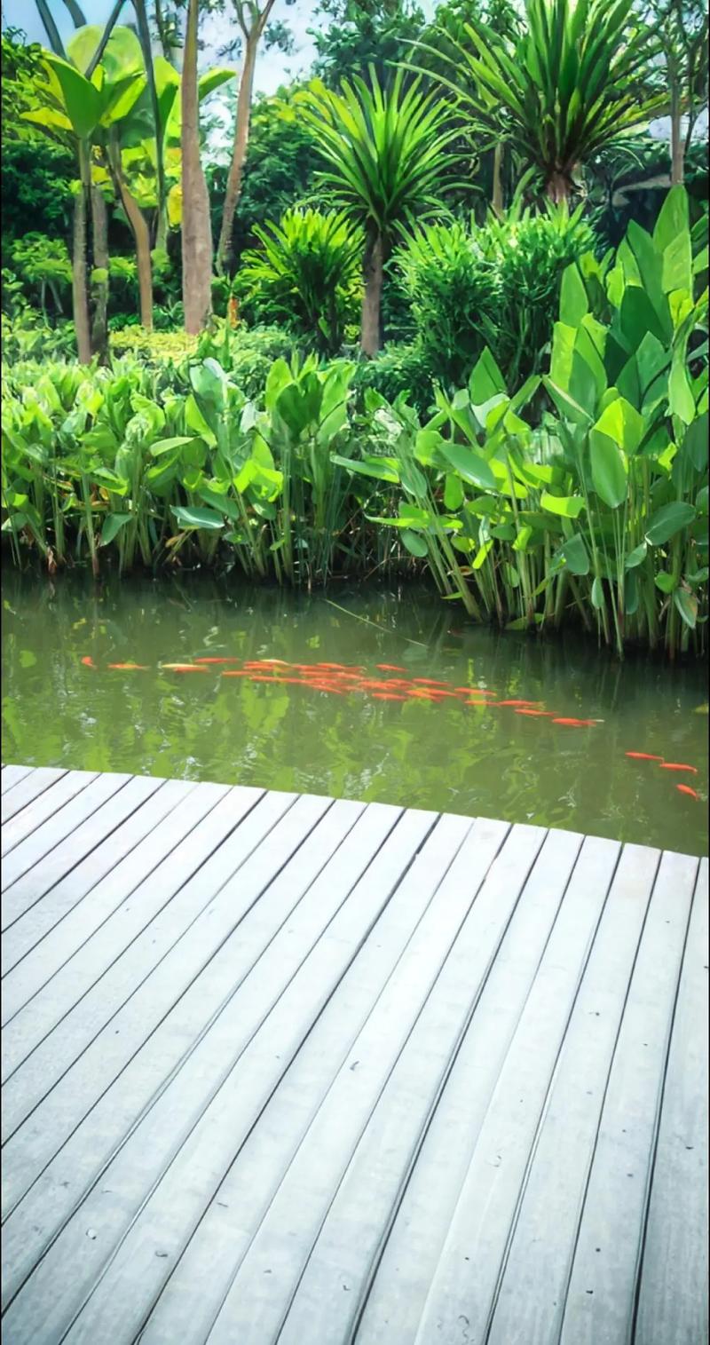 宁波郡西花园
