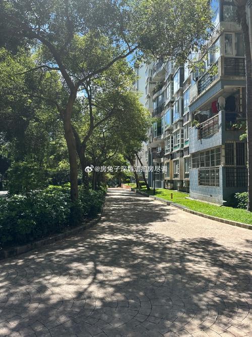 深圳丰泽湖山庄房价