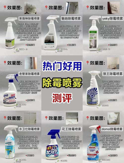 租房发霉怎么退房子