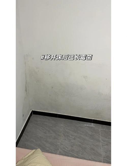 租房发霉怎么退房子