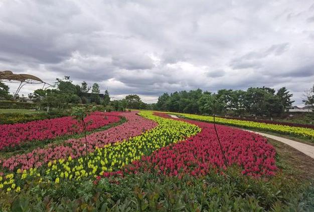 绵阳国际兰花园