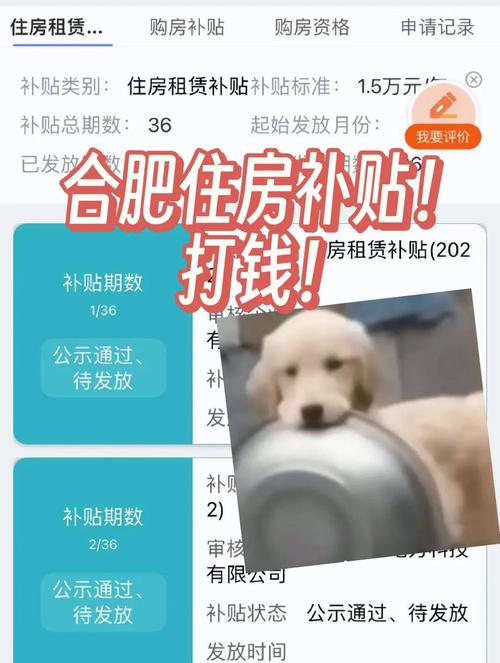 怎么登录合肥租房补贴