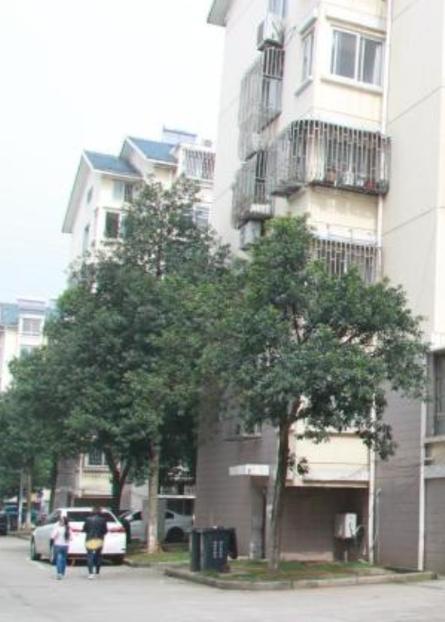 城西花园小区