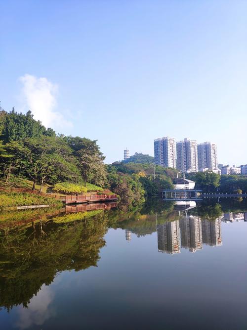 深圳国际花园