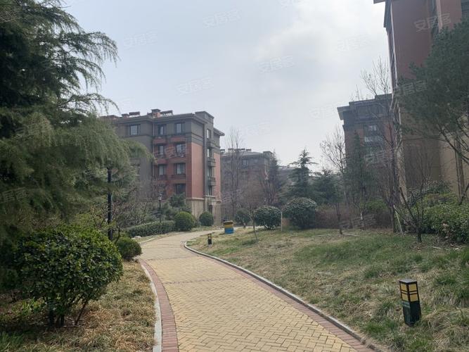 泰安房价便宜的小区
