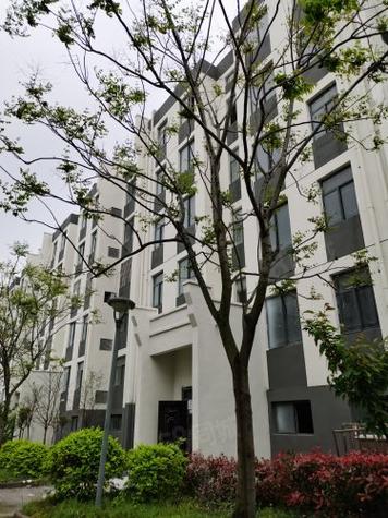 六安新安房价