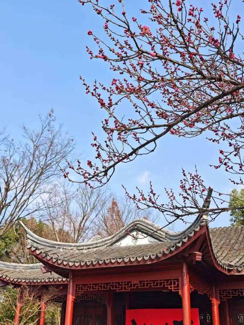 嘉兴梅花园