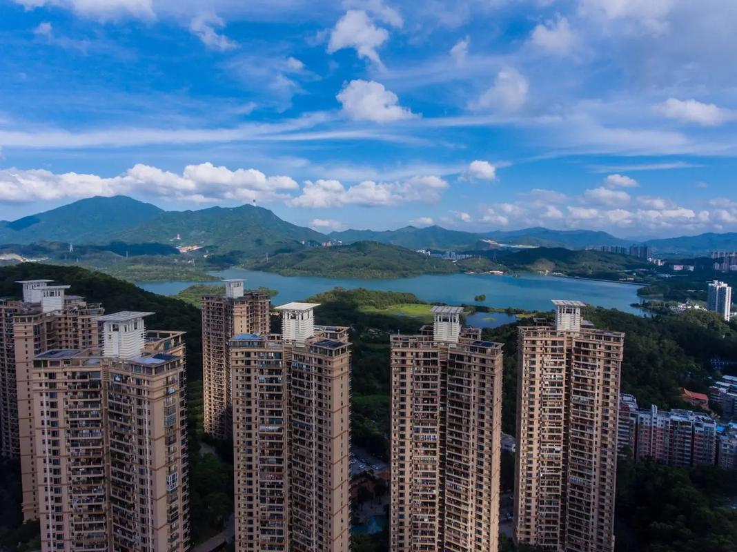 深圳淘金山房价