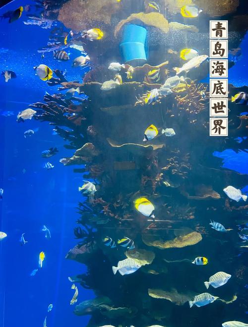 青岛海底花园