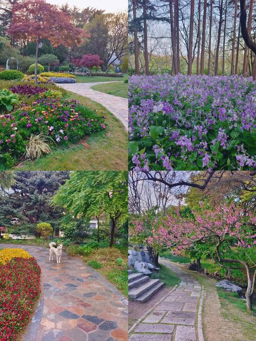 青岛莫奈花园