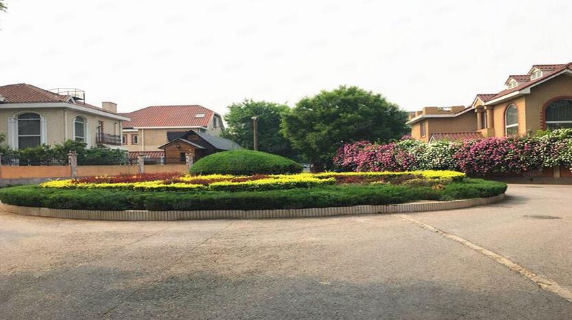 龙珠龙城花园