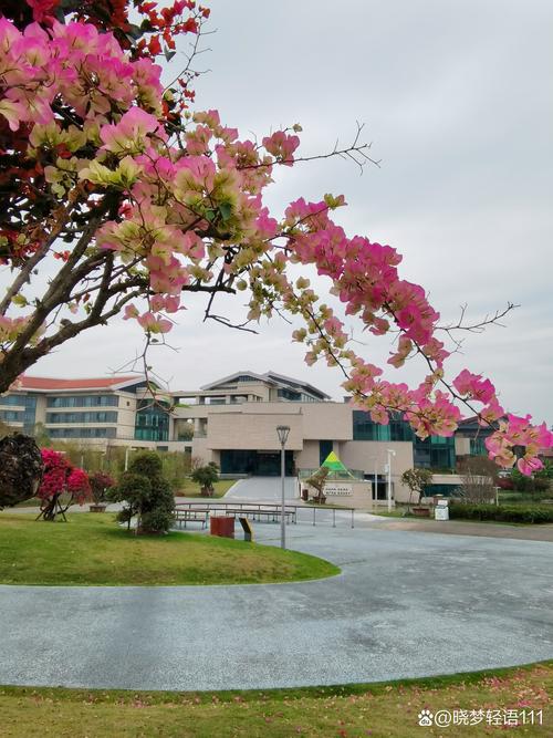 南山绽放花园