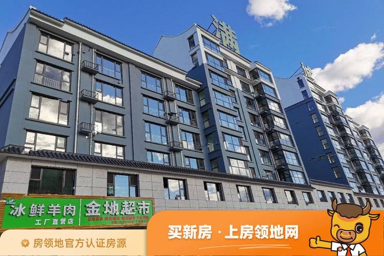丰宁金地满城楼盘