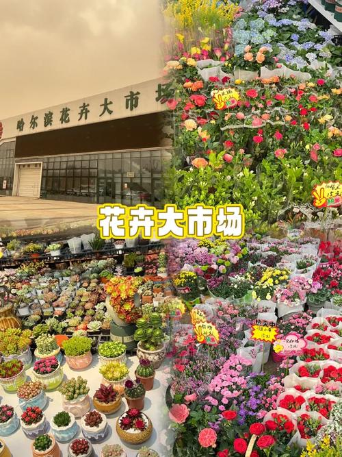 哈尔滨花卉市场楼盘