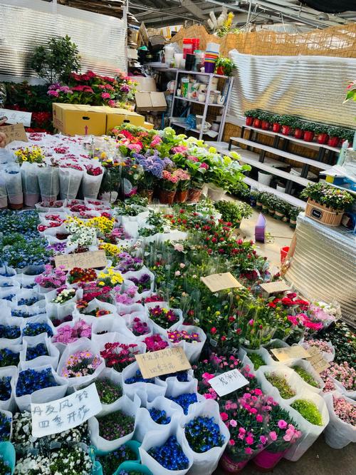 哈尔滨花卉市场楼盘