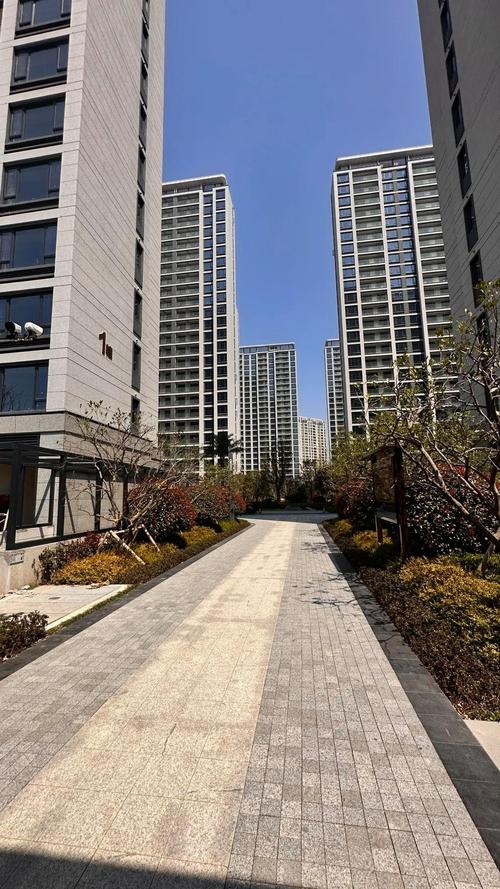 绍兴滨海新城所有楼盘