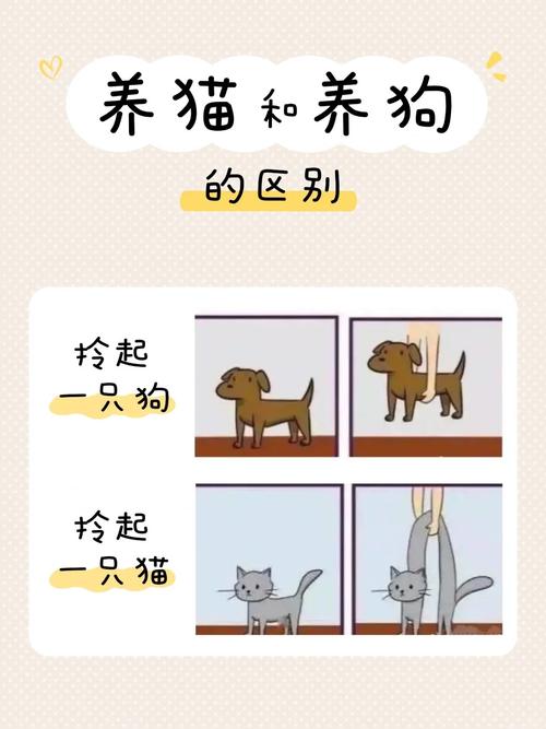 租房内怎么养猫狗