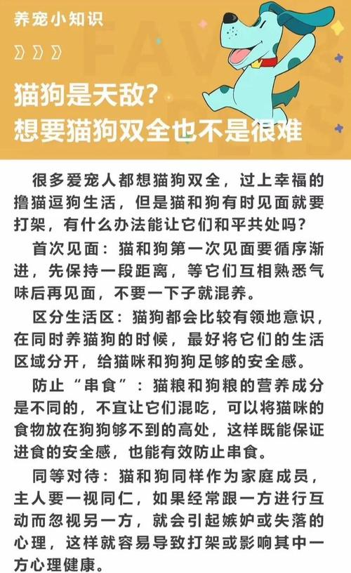租房内怎么养猫狗