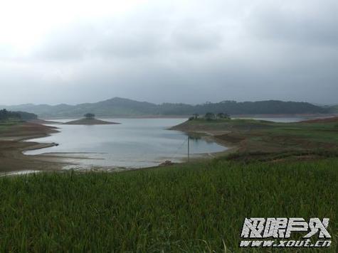 黄家坝房价