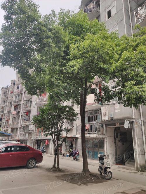 富森花园
