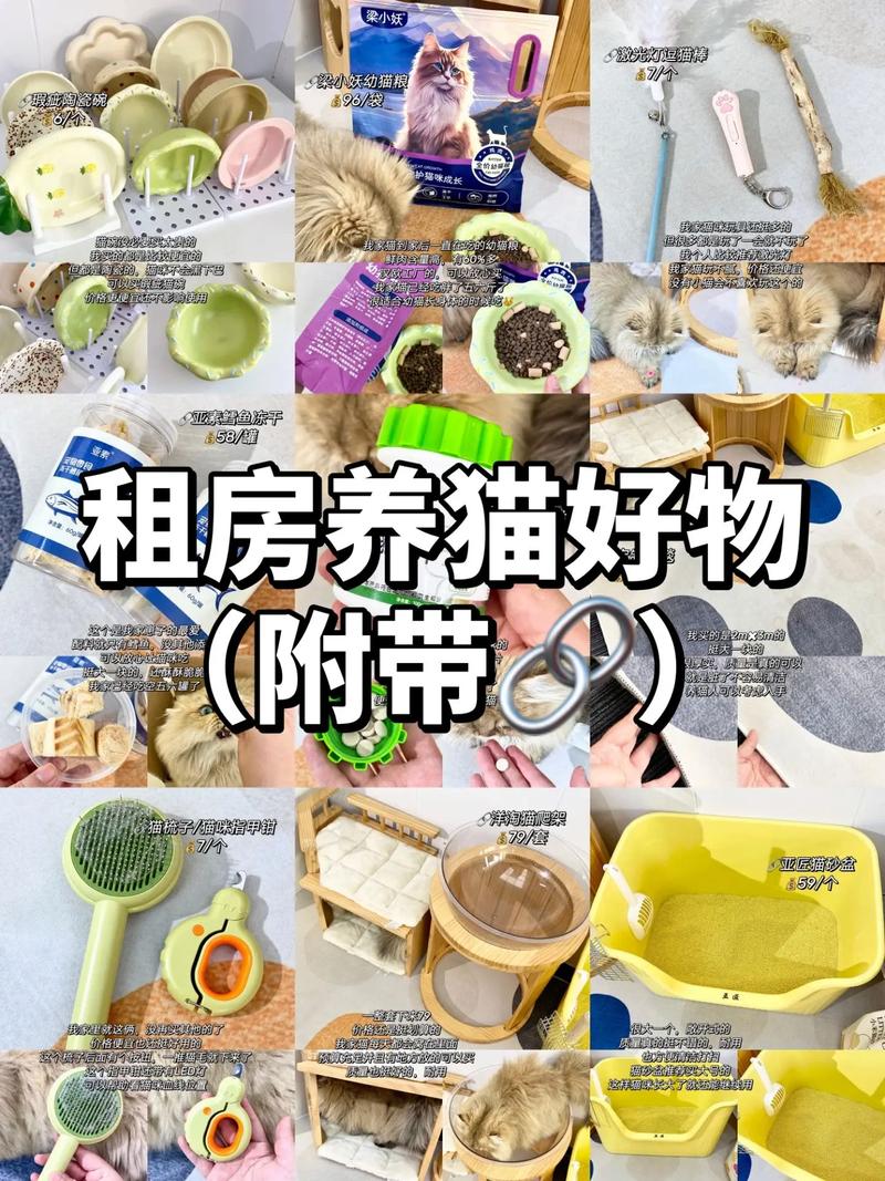 租房卧室怎么养猫好