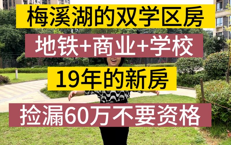 梅溪湖楼盘学区房
