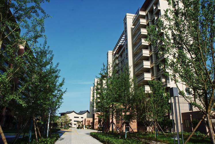 黄山区新楼盘
