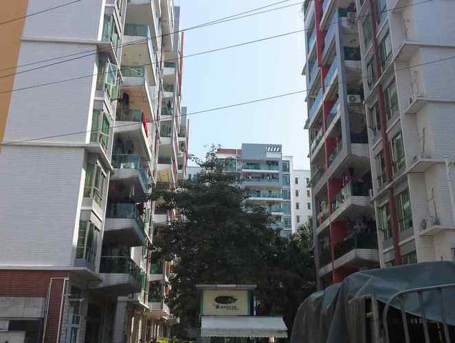 城市假期花园
