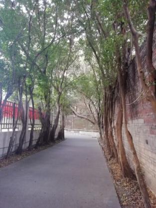 城市假期花园
