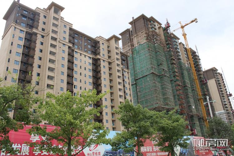 柳江区新楼盘