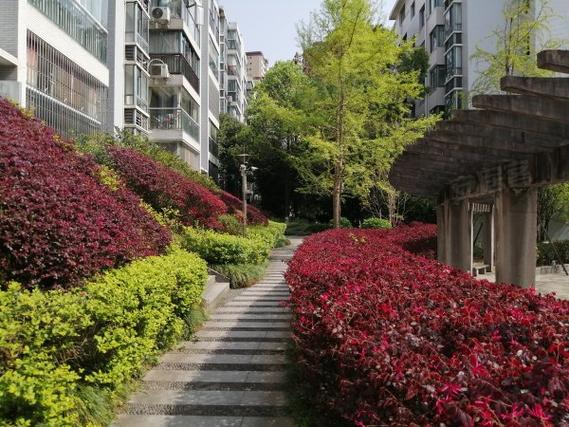 成都龙湖花园