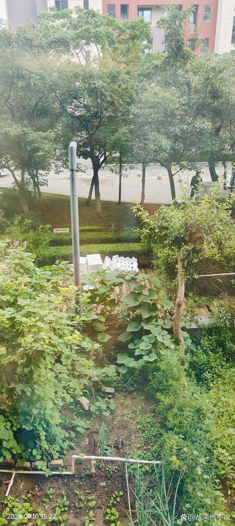 沈阳金地花园