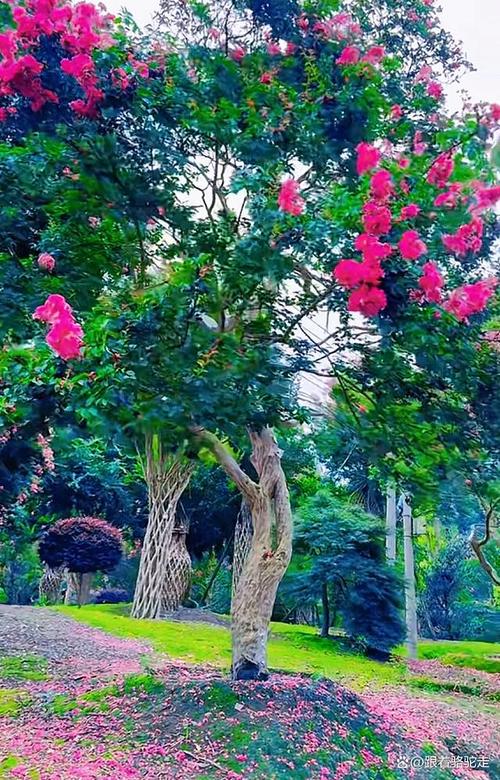 成都紫薇花园
