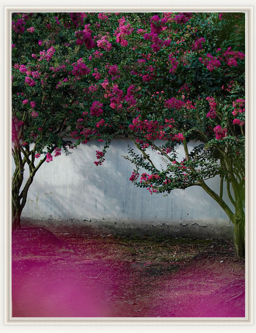 成都紫薇花园