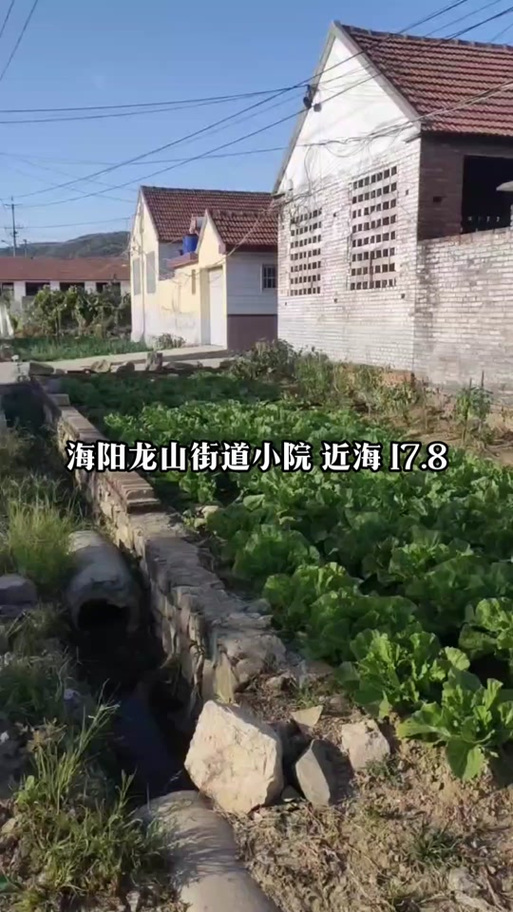 海洋市房价