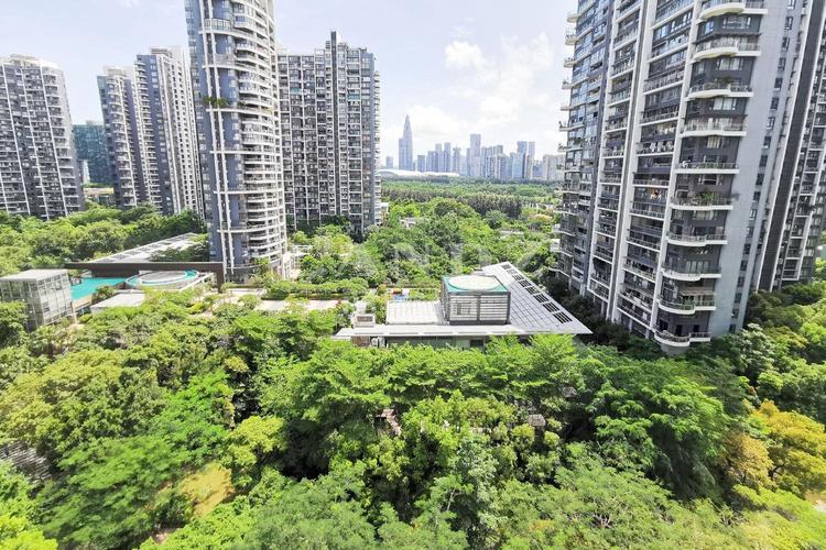 深圳北新楼盘