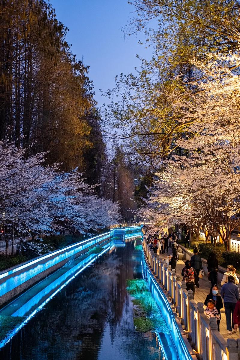 南京珍珠花园