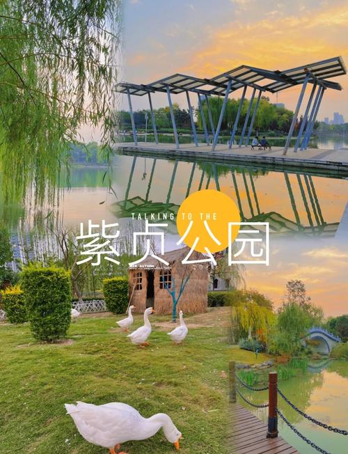 紫贞花园