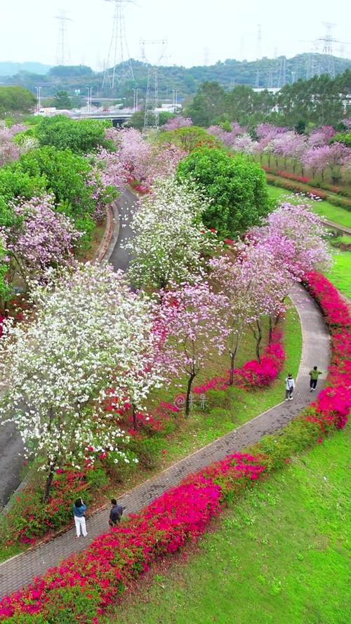 紫贞花园