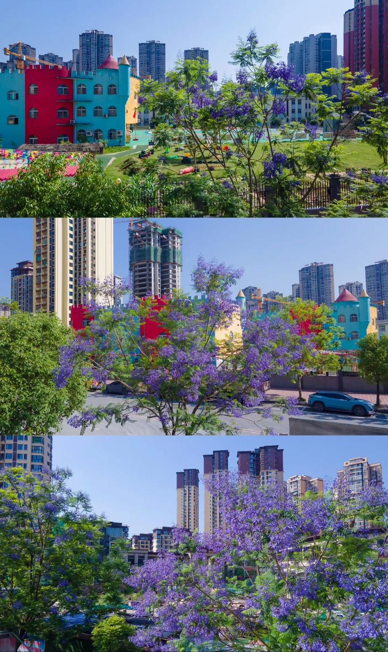 渠县楼盘最新动态