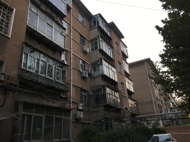山师东路房价