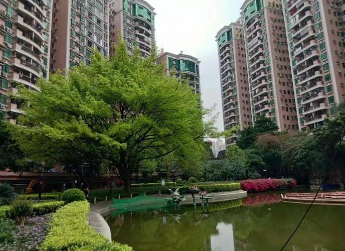 金碧花园图片