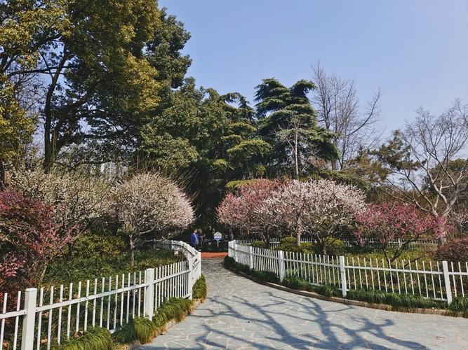 师大花园附近