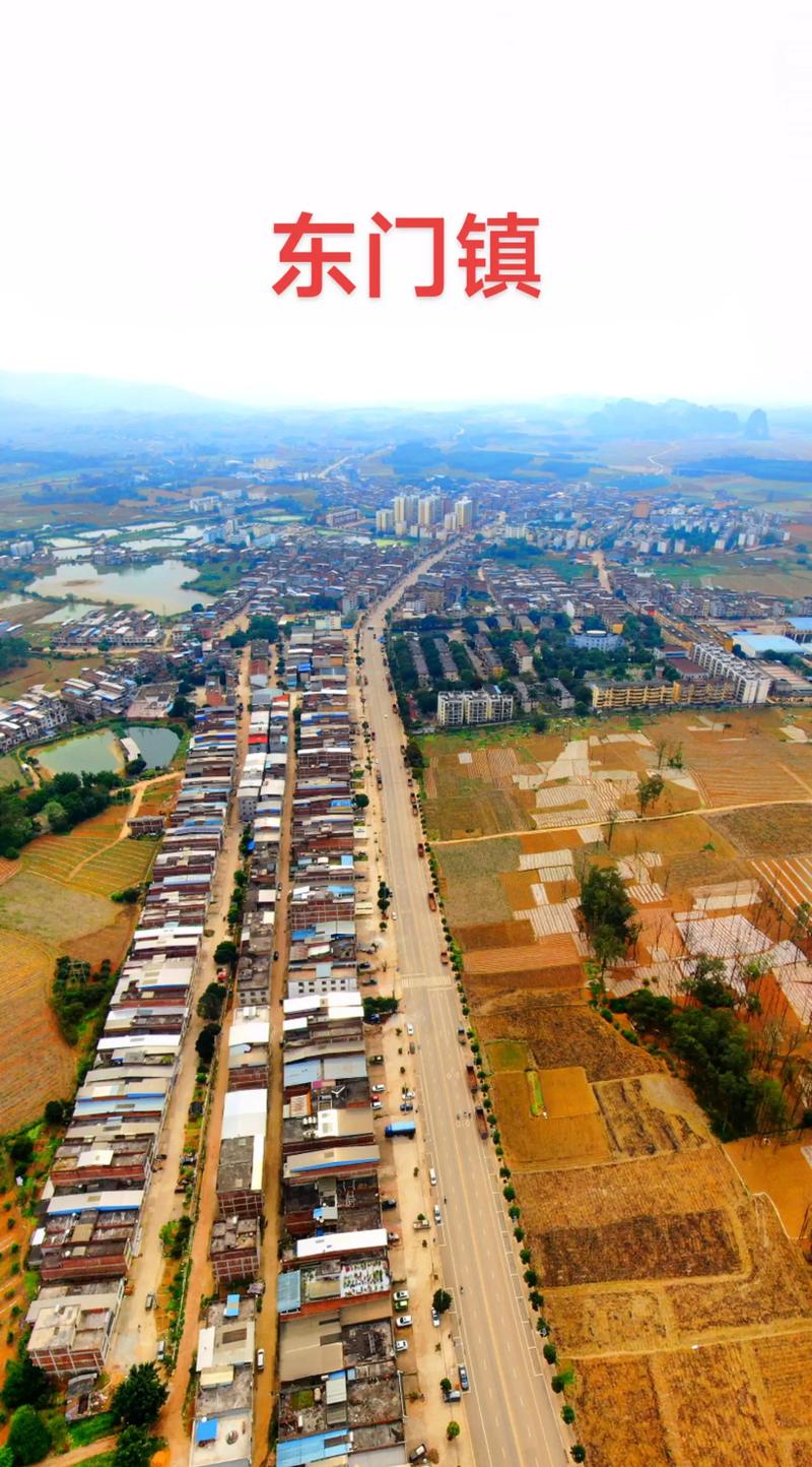 东门镇房价