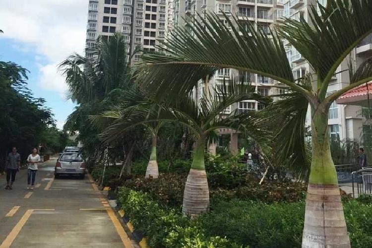 东方海郡楼盘