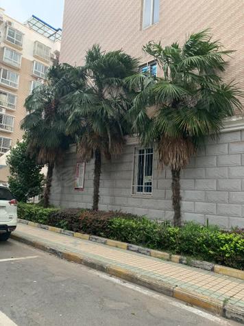 龙泰花园
